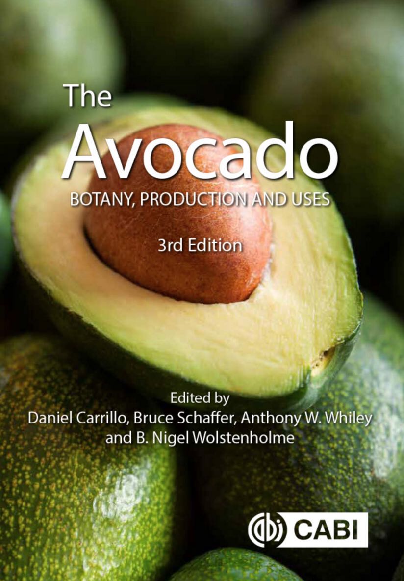 The Avocado